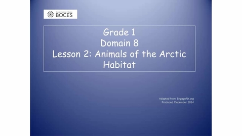 Thumbnail for Lesson 2 Read Aloud: Animals Of The Arctic Habitat