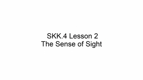 Thumbnail for SKK.4 L2 Sight