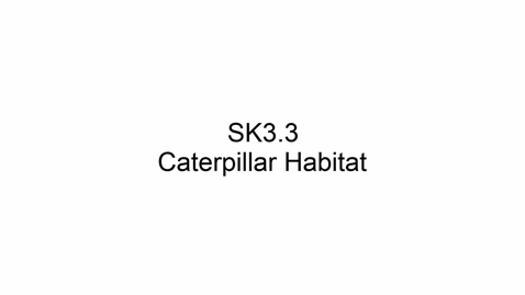 Thumbnail for SK3.3 Caterpillar Habitat