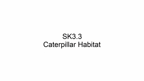 Thumbnail for entry SK3.3 Caterpillar Habitat