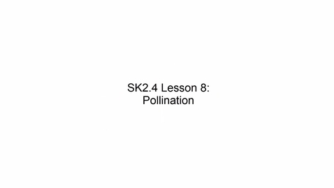 Thumbnail for SK2.4 L8 Pollination