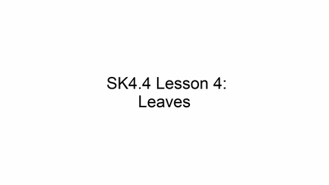 Thumbnail for SK4.4 L4 Leaves