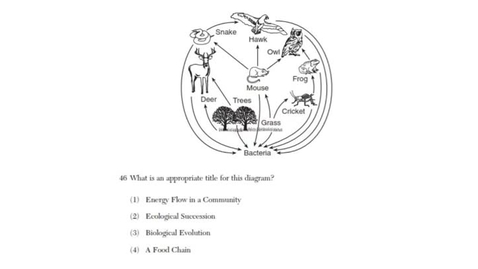 Thumbnail for Living Environment: June 2007 - Question 46