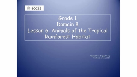 Thumbnail for Lesson 6 Read Aloud: Animals Of The Tropical Rainforest Habitat