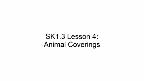 Thumbnail for SK1.3 L4 Animal Coverings