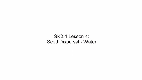 Thumbnail for SK2.4 L4 Seed Dispersal Water