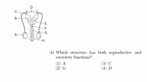 Thumbnail for Living Environment: June 2007 - Question 41