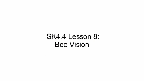 Thumbnail for SK4.4 L8 Bee Vision