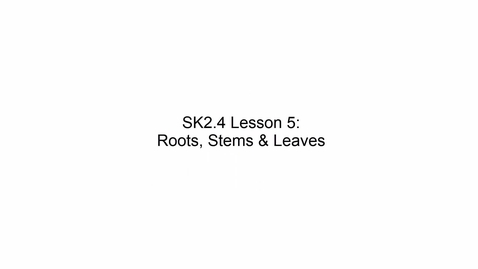 Thumbnail for SK2.4 L5 Roots, Stems and Leaves