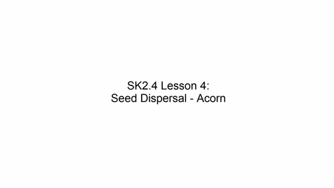 Thumbnail for SK2.4 L4 Seed Dispersal - Acorn