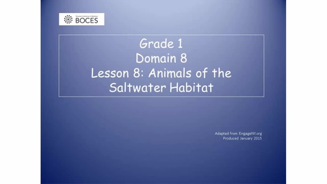 Thumbnail for Lesson 8 Read Aloud: Animals Of The Saltwater Habitat