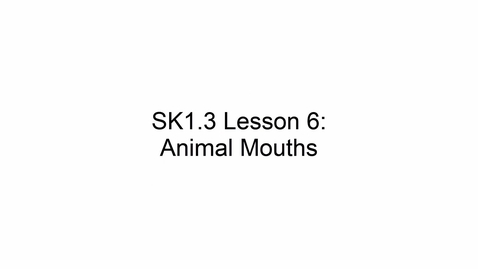 Thumbnail for SK1.3 L6 Animal Mouths