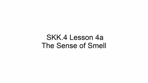 Thumbnail for SKK.4 L4 Mucus