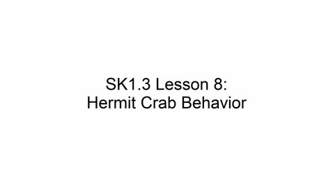 Thumbnail for SK1.3 L8 Hermit Crab Behavior