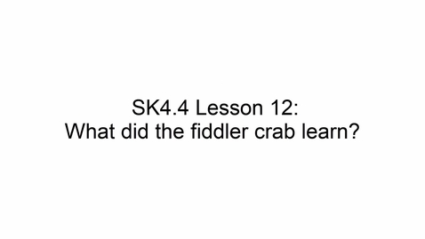 Thumbnail for SK4.4 L12 What did the crab learn?