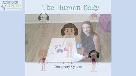 Thumbnail for SK1.4 L5 Circulatory System