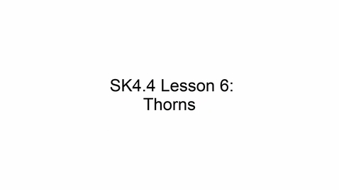 Thumbnail for SK4.4 L6 Thorns