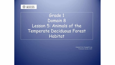 Thumbnail for Lesson 5 Read Aloud: Animals Of The Temperate Deciduous Forest Habitat