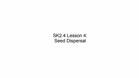 Thumbnail for SK2.4 L4 Seed Dispersal