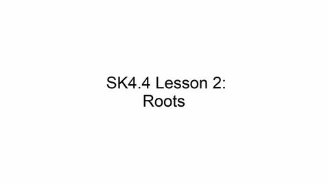 Thumbnail for SK4.4 L2 Roots