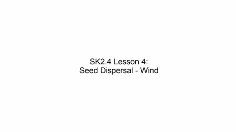 Thumbnail for SK2.4 L4 Seed Dispersal Wind