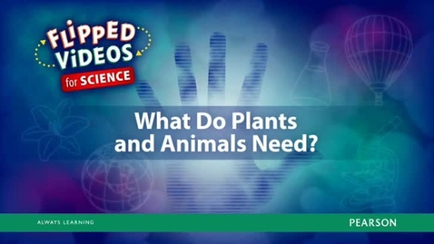 Thumbnail for What Do Plants and Animals Need?