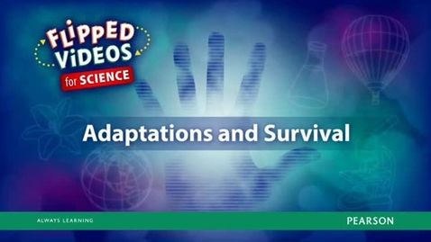 Thumbnail for entry Adaptations and Survival