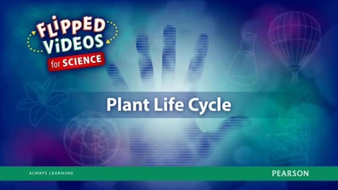 Thumbnail for Plant Life Cycle