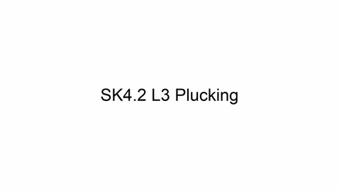 Thumbnail for entry SK4.2 L3 Plucking