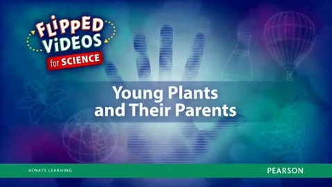 Thumbnail for Young Plants and Their Parents