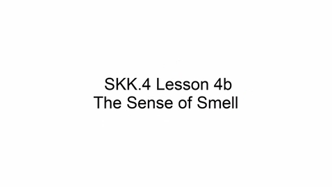 Thumbnail for SKK.4 L4 Smell