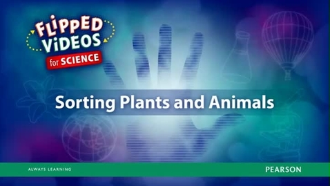 Thumbnail for Sorting Plants and Animals