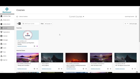 Thumbnail for Blackboard Course Availability Dates