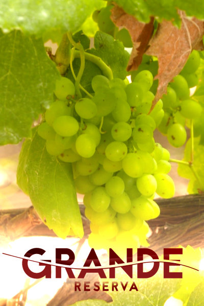 Grande Reserva