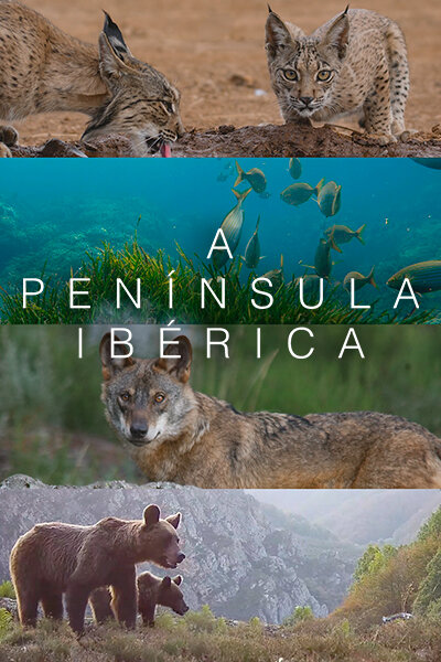 A Península Ibérica