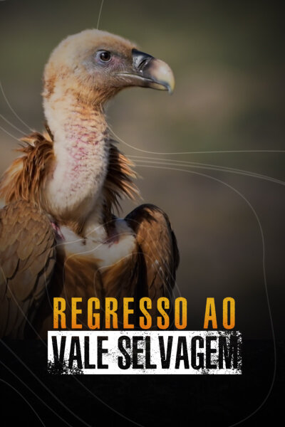 Regresso ao Vale Selvagem