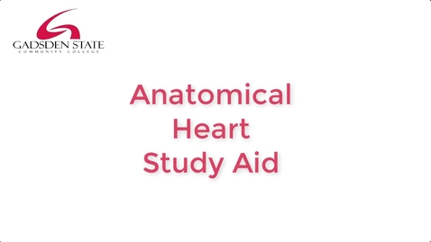 Thumbnail for Anatomical Heart Model with Labels