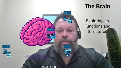 Thumbnail for the-brain (1)