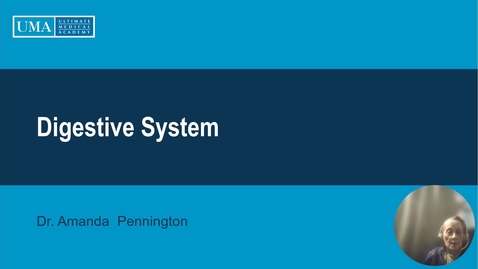 Thumbnail for Digestive System UMA slides