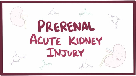 Thumbnail for Prerenal acute kidney injury (acute renal failure) - causes, symptoms &amp; pathology
