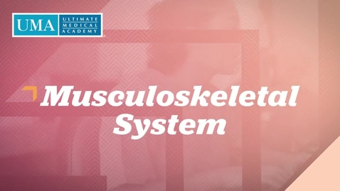 Thumbnail for SC1525 3A S3-5 musculoskeletal system
