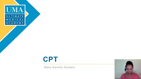 Thumbnail for HT2135 Week 3 Male Genital System
