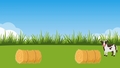Thumbnail for In front of and behind video