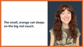 Thumbnail for Add descriptive details to sentences video
