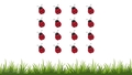 Thumbnail for Count pictures in arrays and circles - up to 20 video
