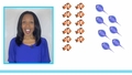 Thumbnail for Greater than, less than, or equal to - compare by counting up to 20 video
