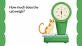 Thumbnail for Read a scale - customary units video