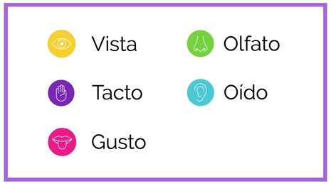 Clasificar detalles sensoriales
