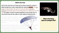 Thumbnail for Read about animals video