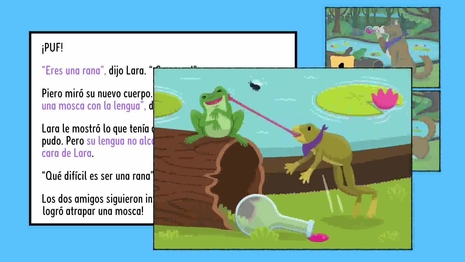 Ordenar im&aacute;genes en una historia